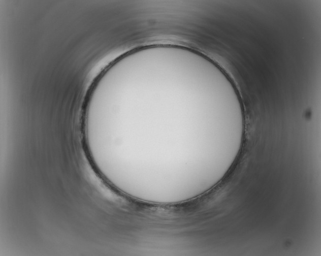 X0000116290995200912211837