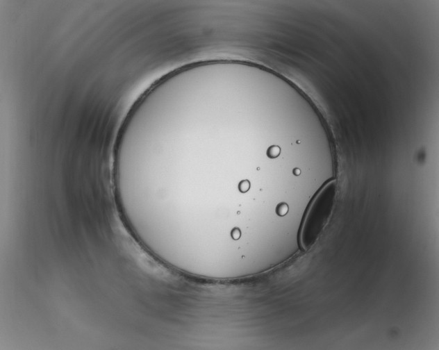 X0000116290996200912211837