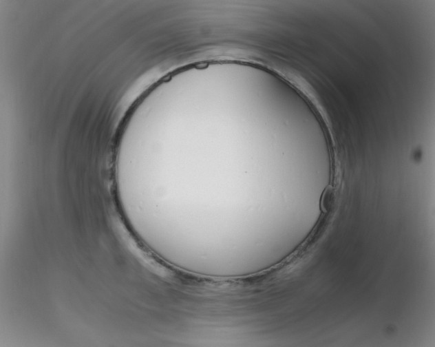 X0000116290997200912211837