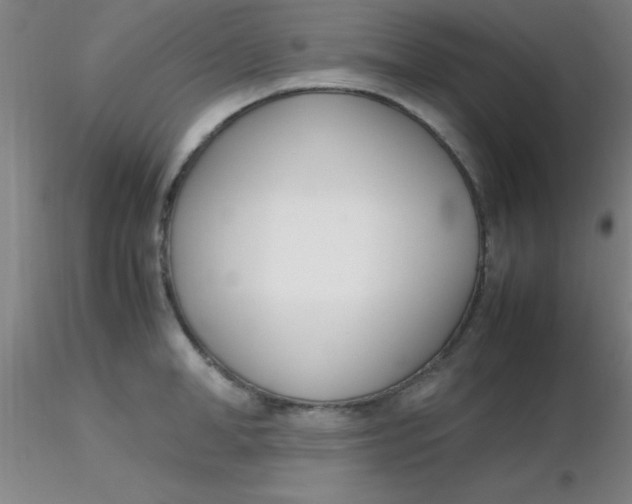 X0000116290998200912211837