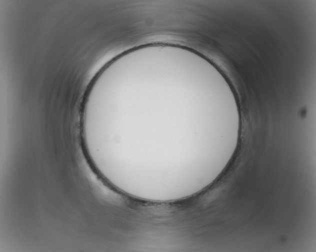 X0000116290999200912211837