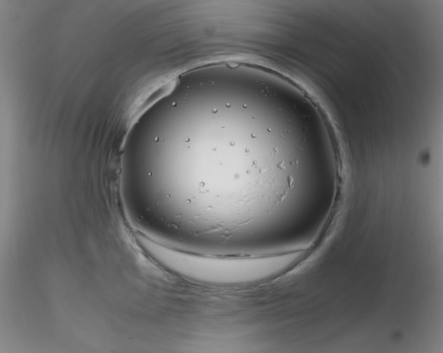 X0000116291001200912211837