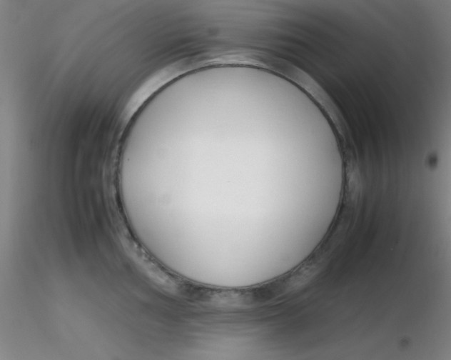 X0000116291002200912211837