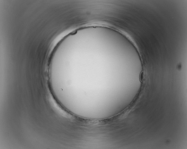 X0000116291003200912211837