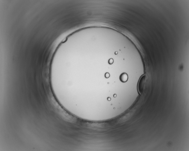 X0000116291004200912211837