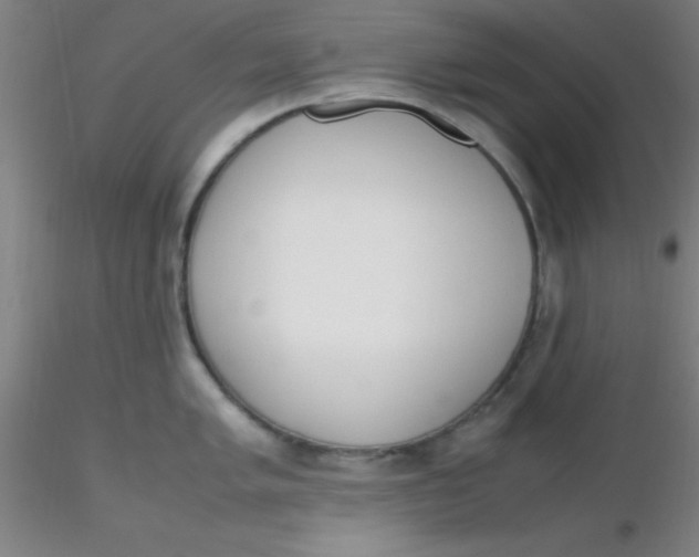 X0000116291005200912211836