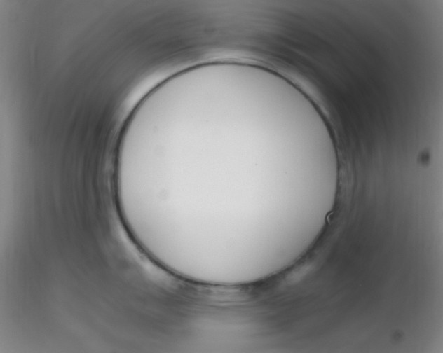 X0000116291007200912211836