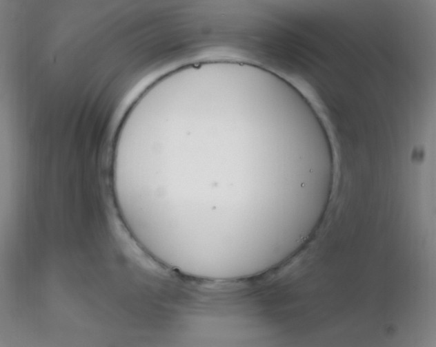 X0000116291008200912211836