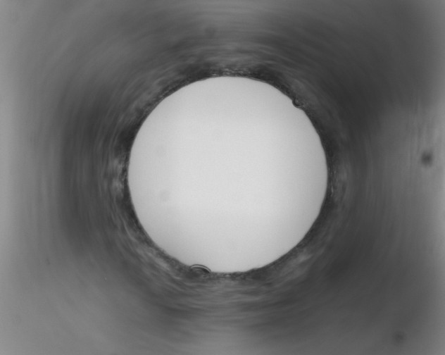 X0000116291010200912211836