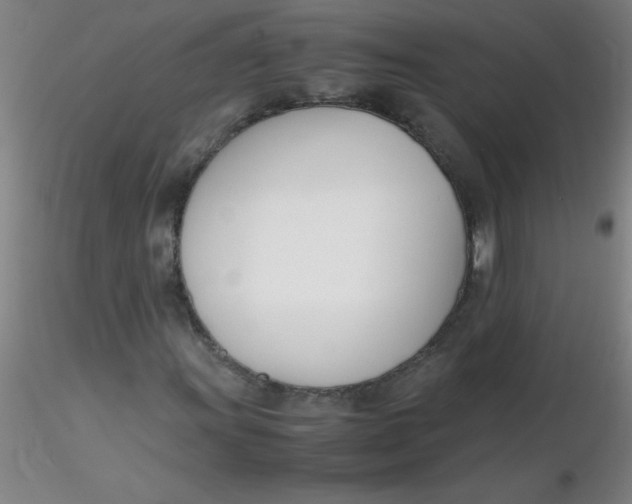 X0000116291011200912211836