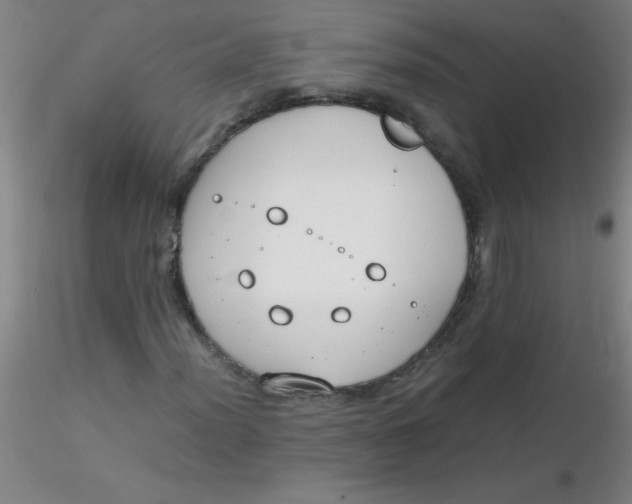 X0000116291012200912211836