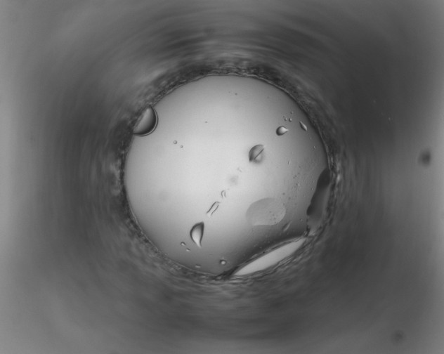 X0000116291013200912211836