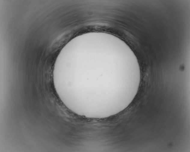 X0000116291014200912211836