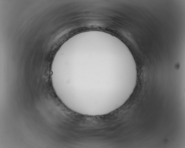 X0000116291015200912211836