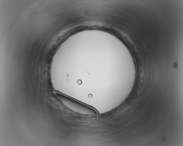 X0000116291016200912211836