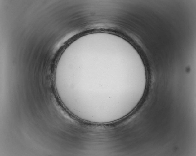 X0000116291018200912211836