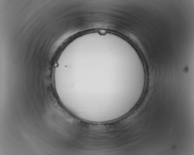 X0000116291019200912211836