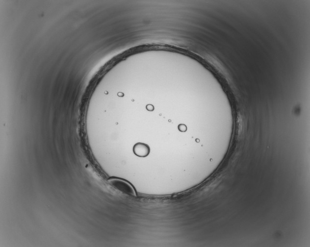 X0000116291020200912211836