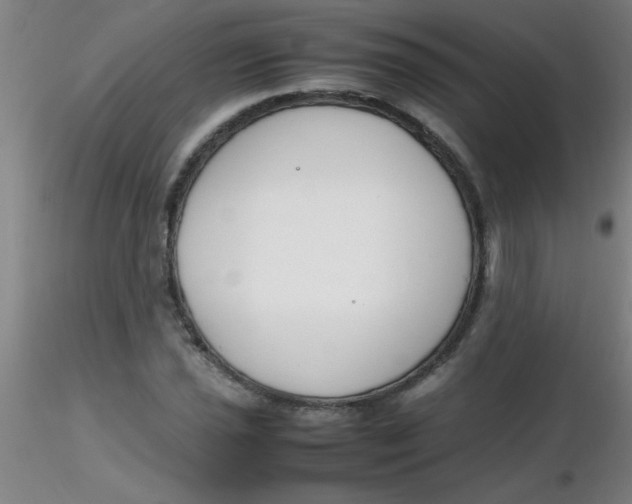 X0000116291021200912211836