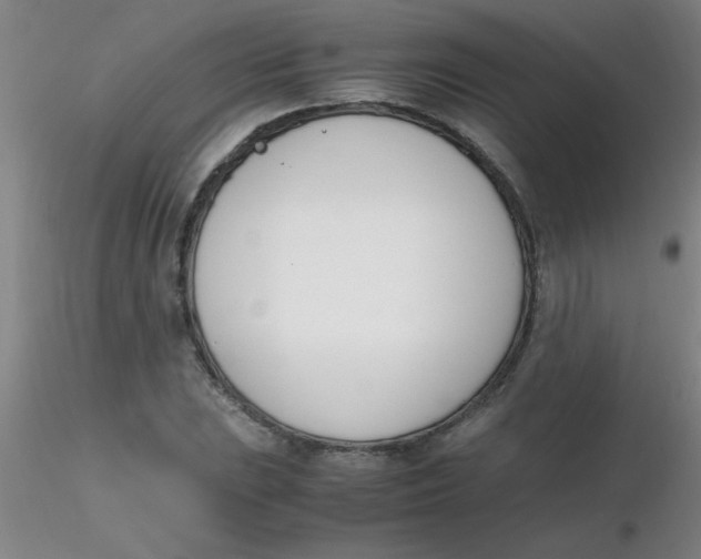 X0000116291023200912211836