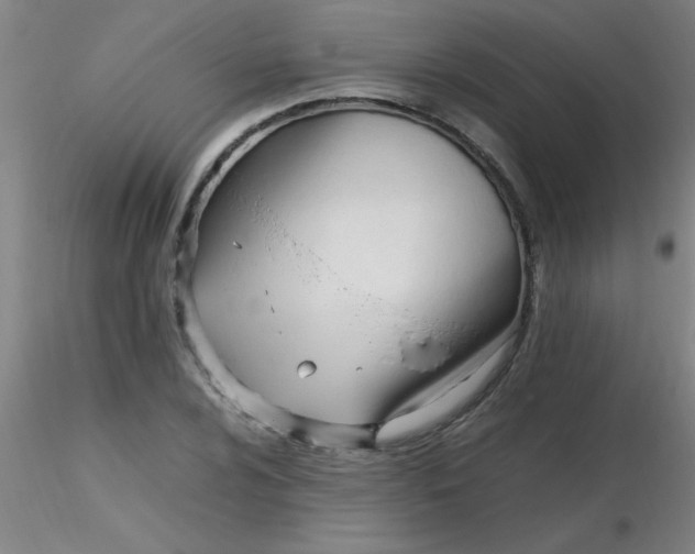 X0000116291024200912211836