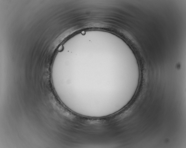 X0000116291025200912211836