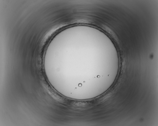 X0000116291027200912211836