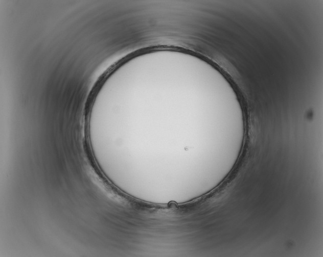 X0000116291028200912211836