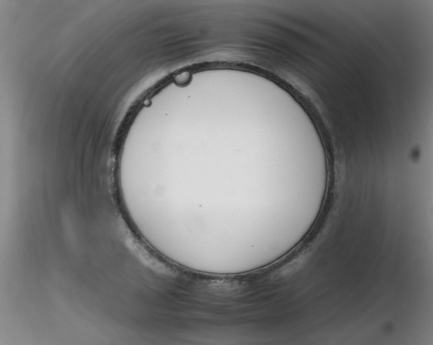 X0000116291029200912211836