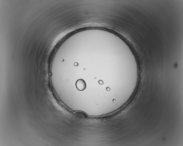 X0000116291030200912211836