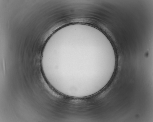 X0000116291033200912211836