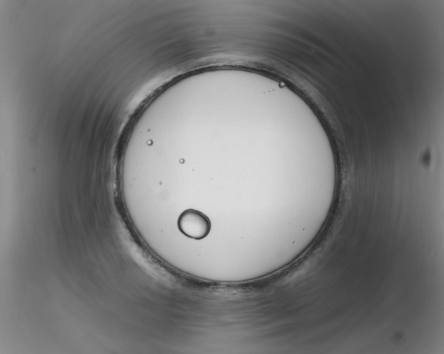 X0000116291034200912211836