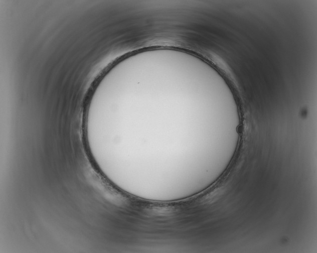 X0000116291035200912211836