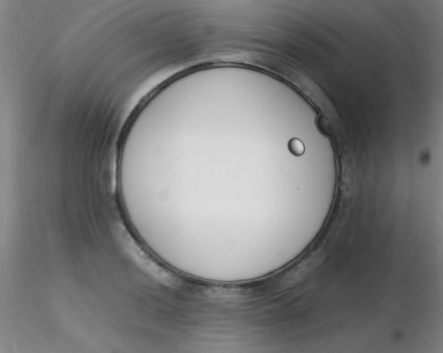 X0000116291036200912211836