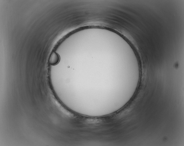 X0000116291037200912211836