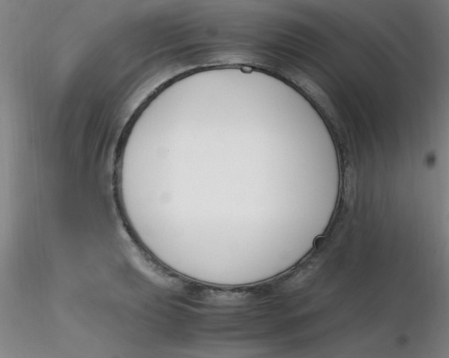 X0000116291039200912211836