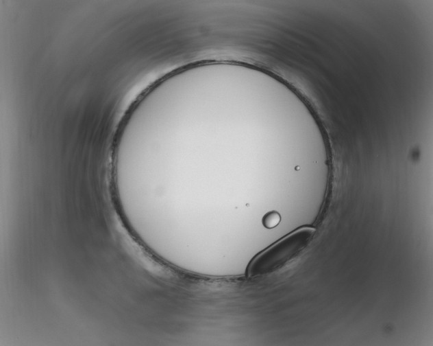 X0000116291040200912211836