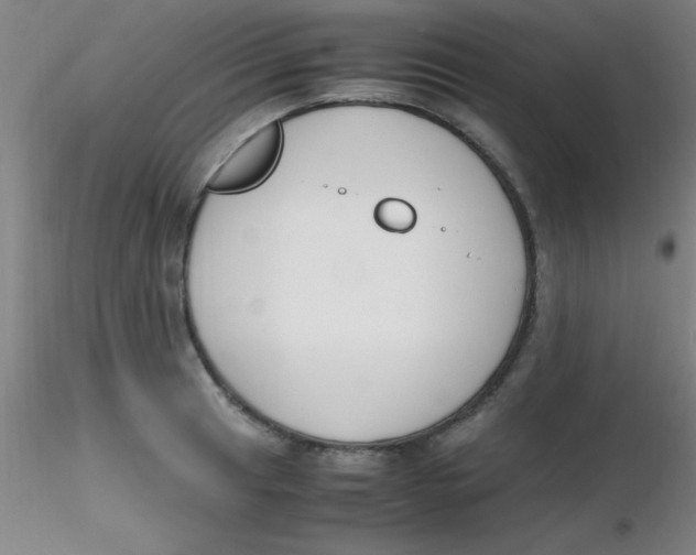 X0000116291041200912211836