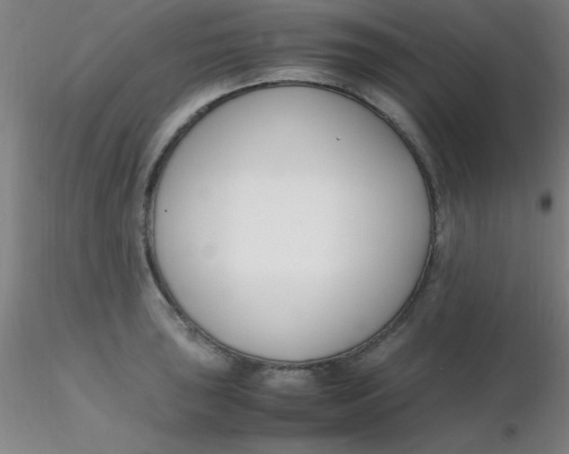 X0000116291043200912211836