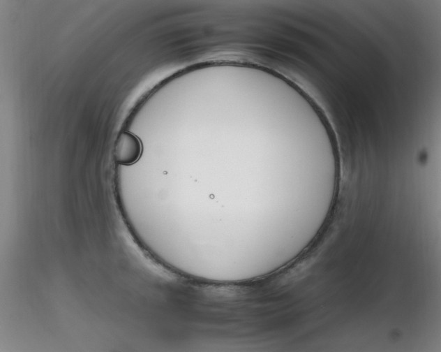 X0000116291045200912211836