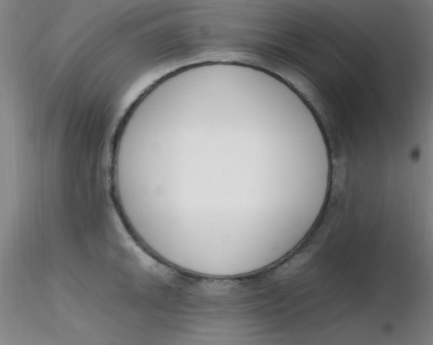 X0000116291046200912211836