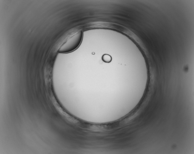 X0000116291049200912211836