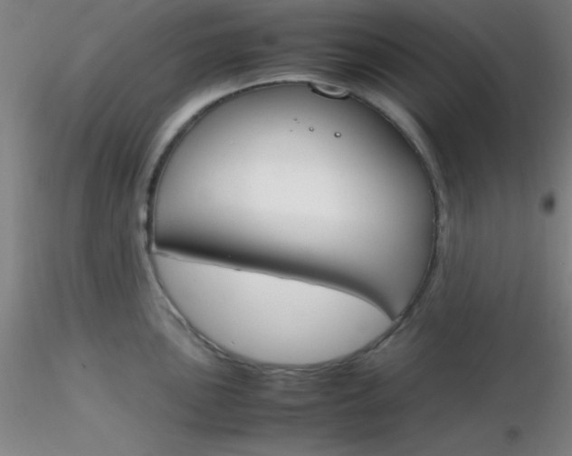 X0000116291051200912211836