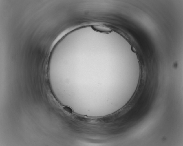 X0000116291052200912211836