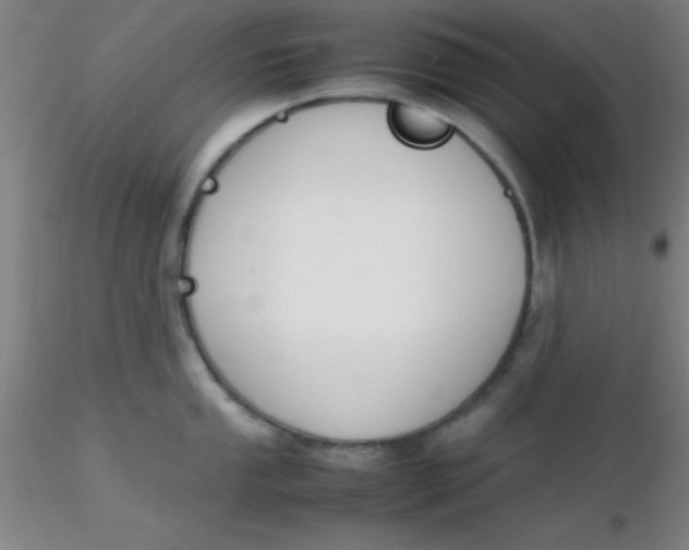 X0000116291053200912211836