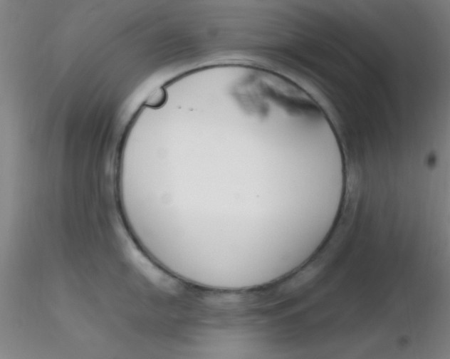 X0000116291054200912211836