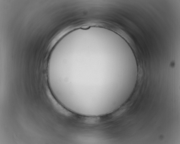 X0000116291055200912211836