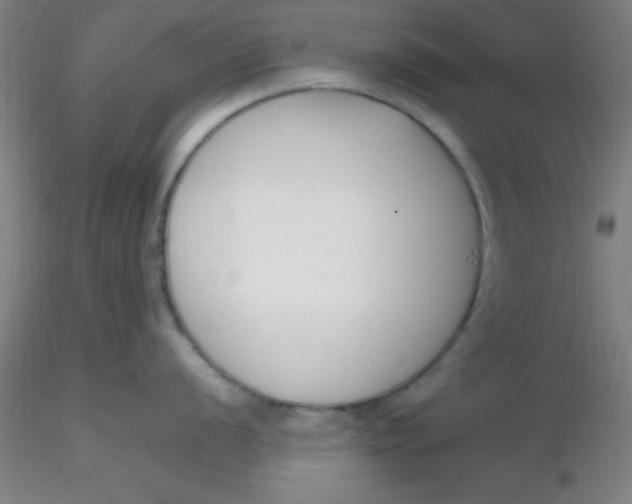 X0000116291056200912211836