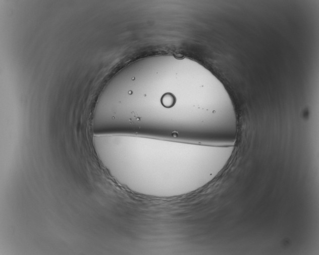 X0000116291057200912211836