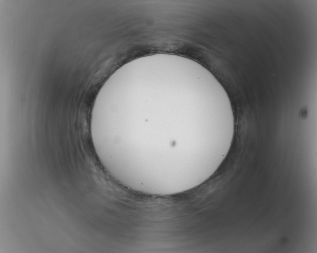 X0000116291058200912211836